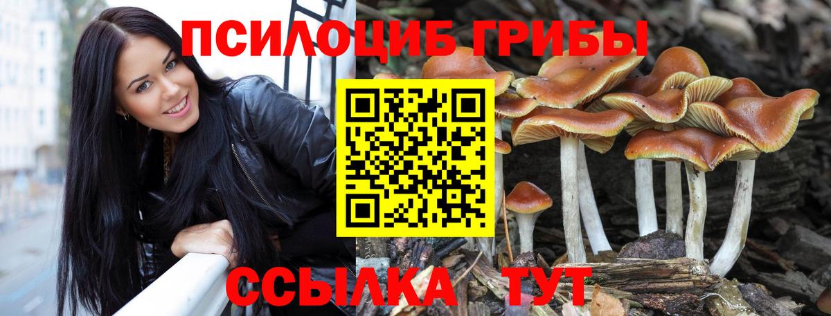 Узловая  Псилоцибиновые грибы MAGIC MUSHROOMS  Вход с VPN  Псилоцибиновые грибы Psilocybine cubensis 