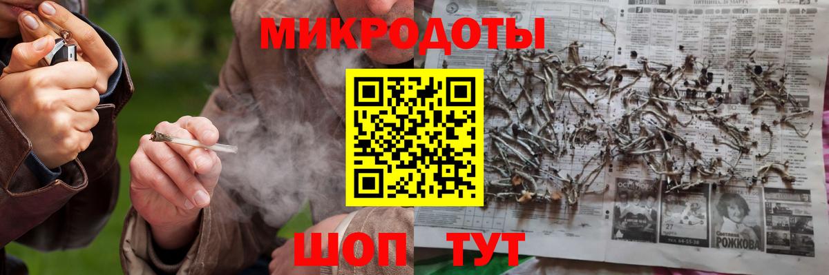 Псилоцибиновые грибы Psilocybine cubensis Узловая